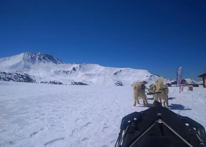 Apartman Calisto110 *